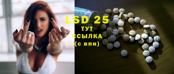 прущие грибы Алексин