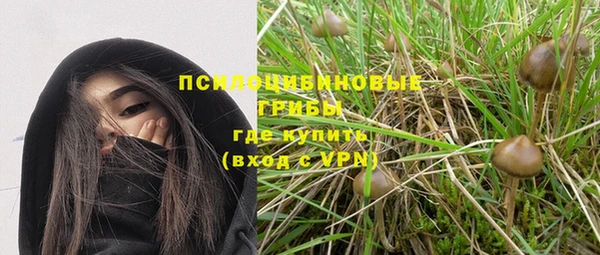 прущие грибы Алексин