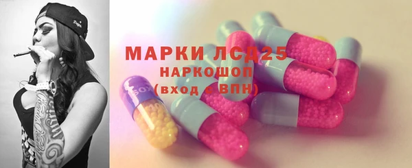 прущие грибы Алексин
