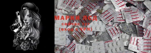 прущие грибы Алексин
