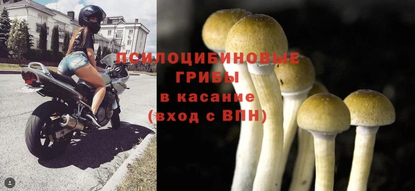 винт Осинники